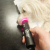 Vet-Torch-03.jpg QWave PBM Vet PRO LED torch med blått, rødt og infrarødt lys