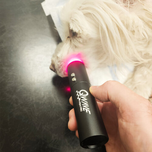QWave PBM Vet PRO LED torch med blått, rødt og infrarødt lys